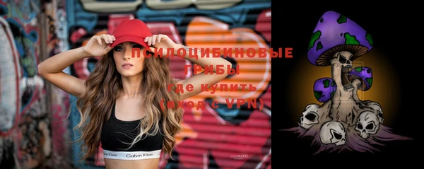 крисы Гусиноозёрск