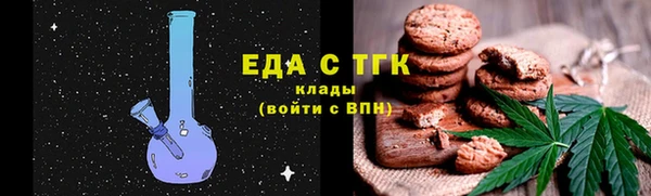 тгк Гусев