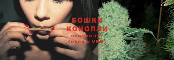 тгк Дмитровск