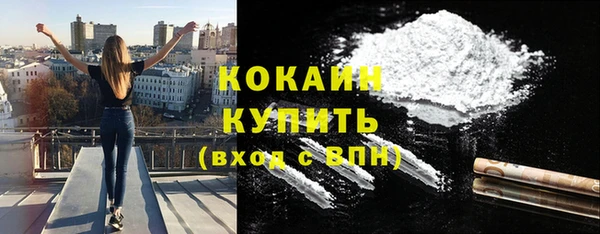 тгк Гусев
