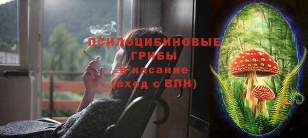 тгк Гусев