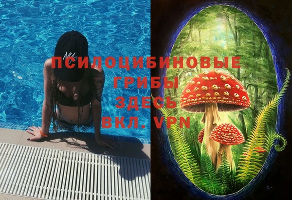 крисы Гусиноозёрск